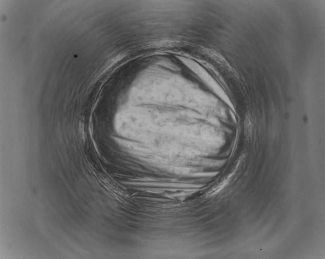 X0000073721209200608241223