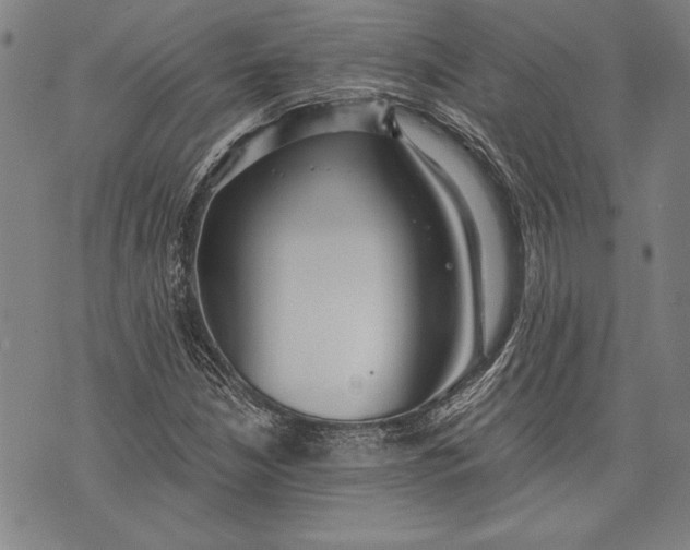 X0000073721210200608241223