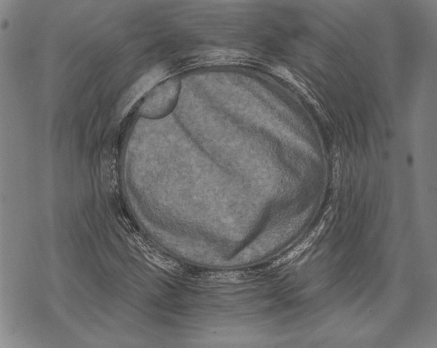 X0000073721211200608241223