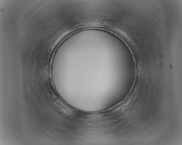 X0000073721212200608241223