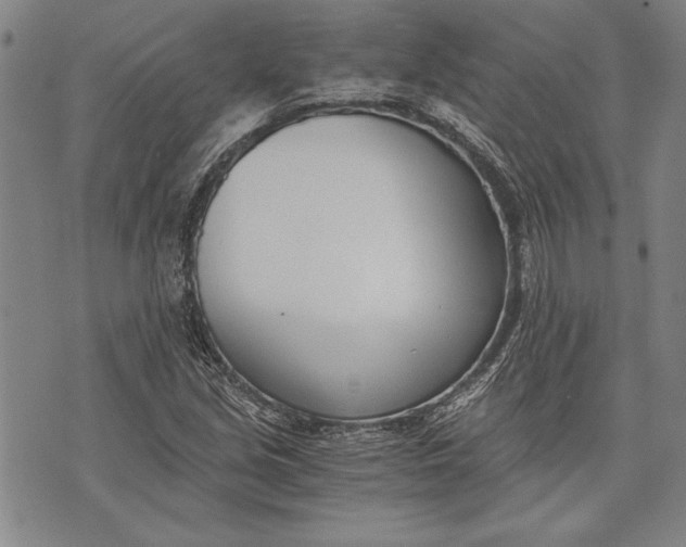 X0000073721213200608241223