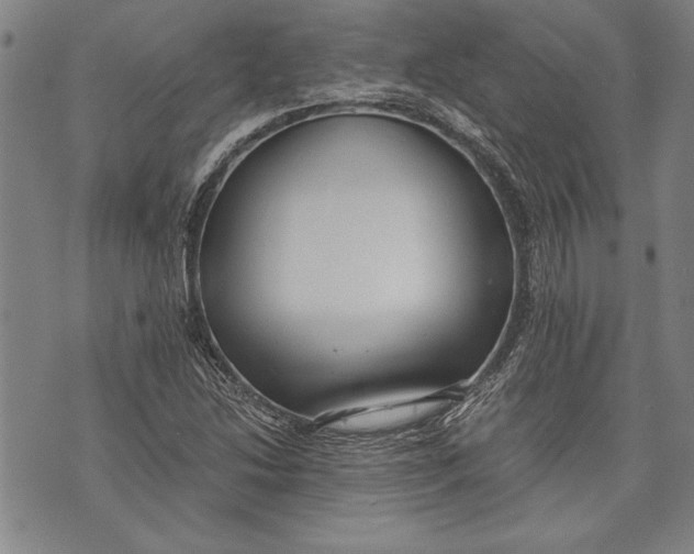 X0000073721214200608241223