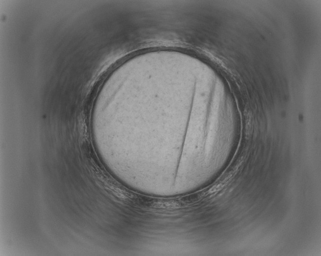 X0000073721215200608241223