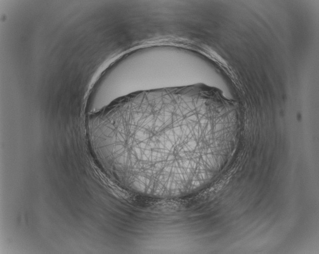 X0000073721216200608241223