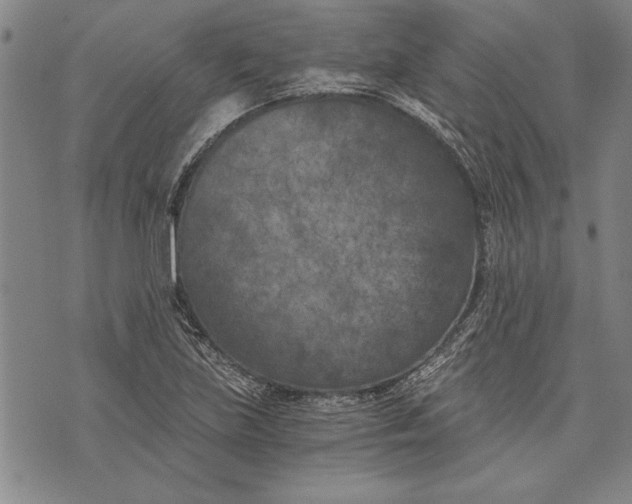 X0000073721219200608241223