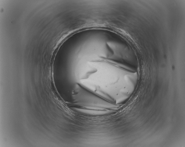 X0000073721220200608241223