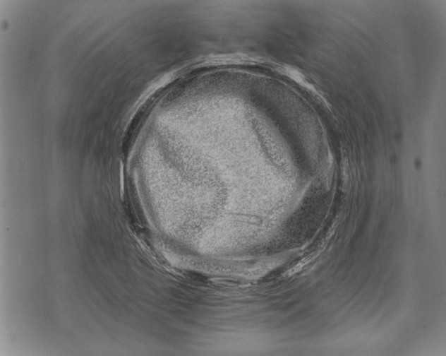 X0000073721221200608241223