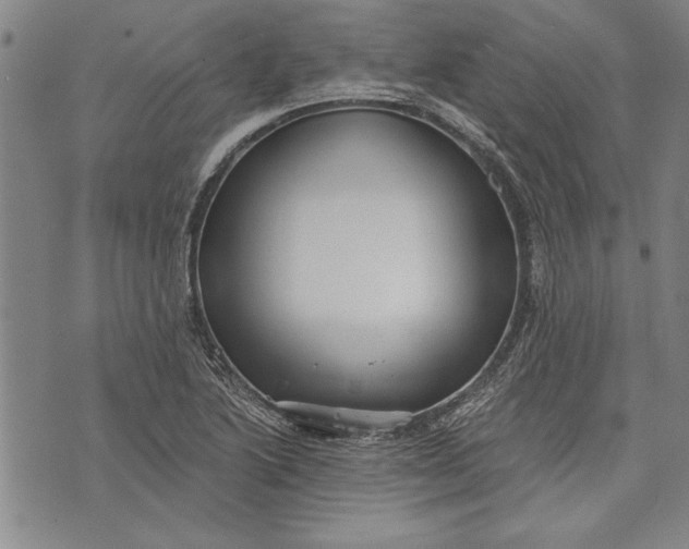 X0000073721222200608241224