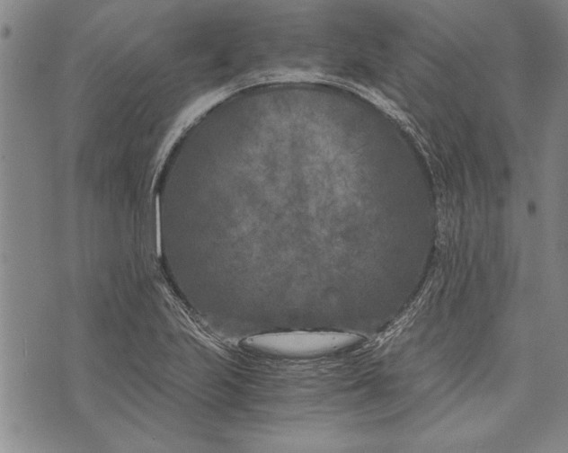 X0000073721223200608241224