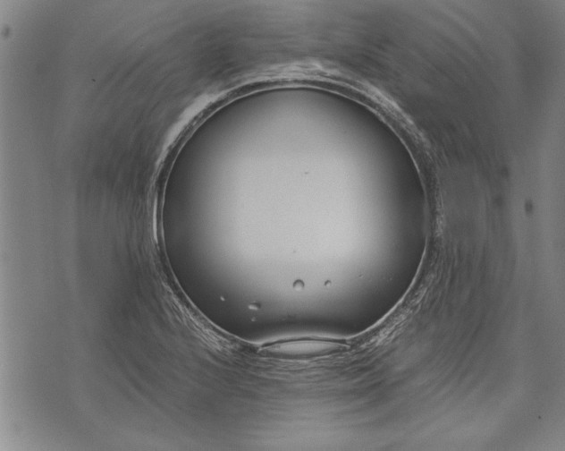 X0000073721224200608241224