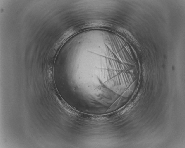 X0000073721225200608241224