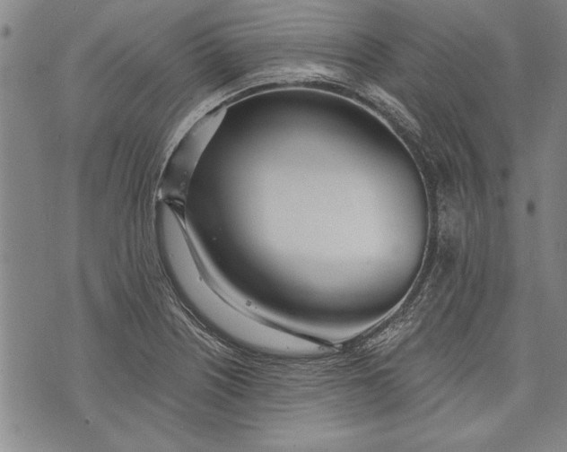 X0000073721226200608241224