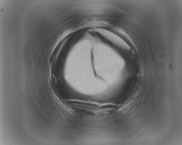 X0000073721227200608241224