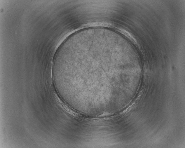 X0000073721228200608241224