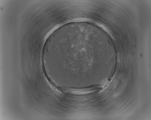 X0000073721229200608241224