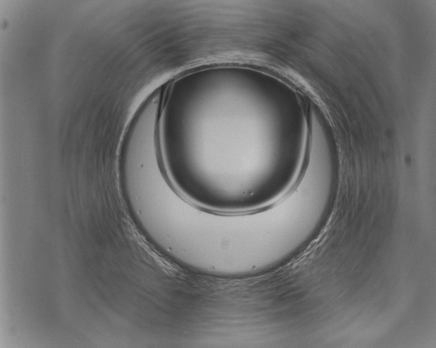 X0000073721230200608241224