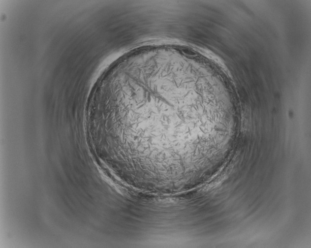 X0000073721231200608241224