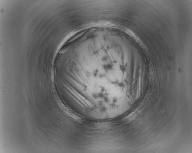 X0000073721232200608241224