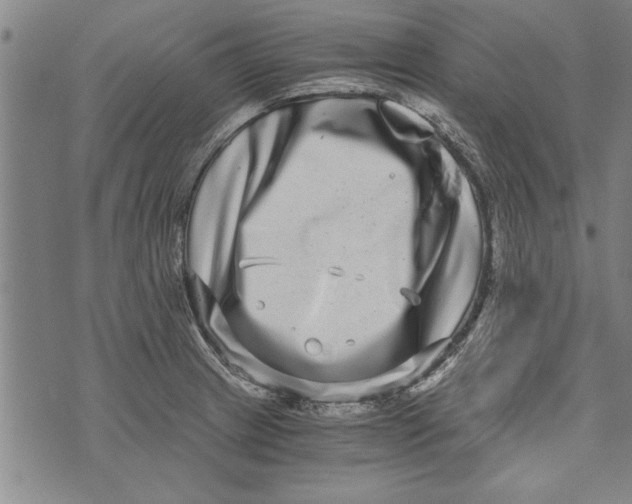 X0000073721233200608241224