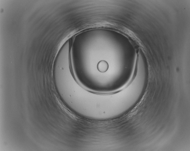 X0000073721234200608241224