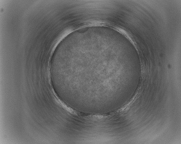 X0000073721235200608241224