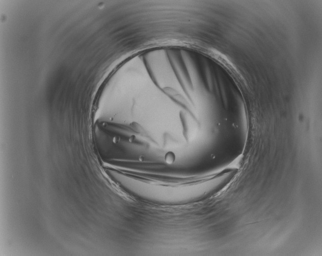 X0000073721236200608241224