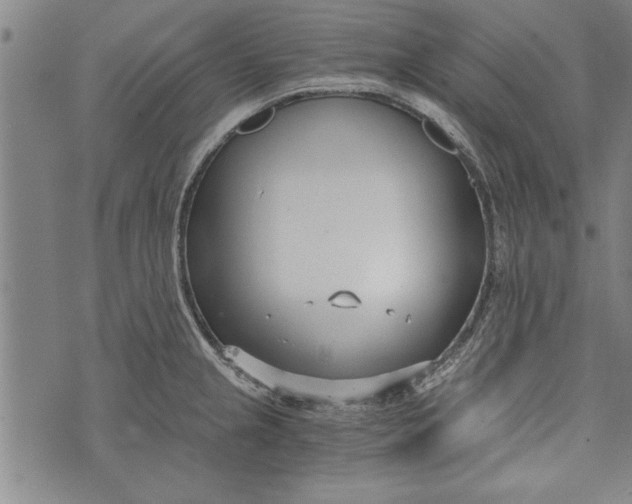 X0000073721237200608241224