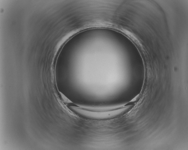 X0000073721238200608241224