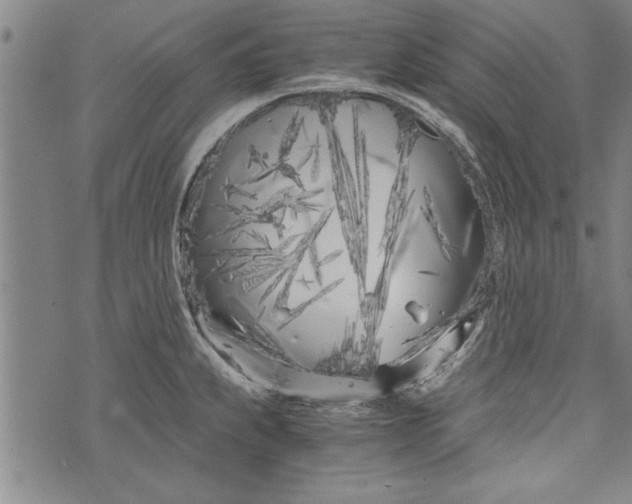 X0000073721239200608241224