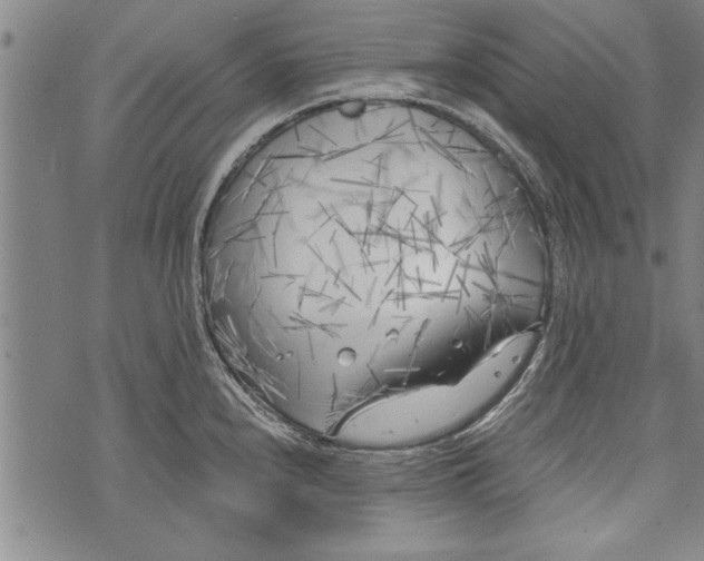 X0000073721240200608241224