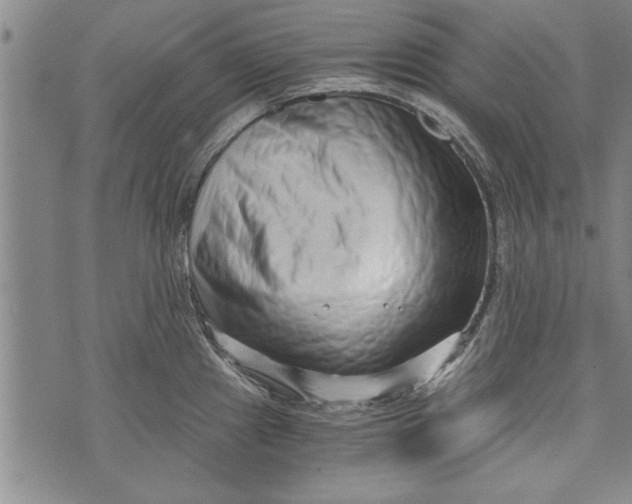 X0000073721241200608241224