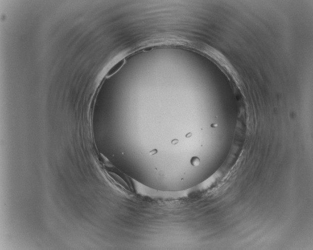 X0000073721242200608241224