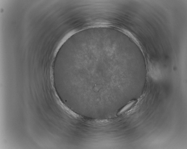 X0000073721243200608241224