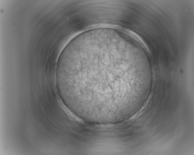 X0000073721244200608241224