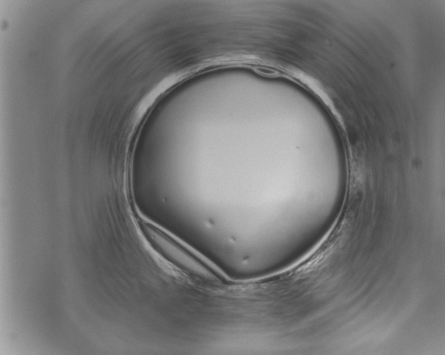 X0000073721245200608241224