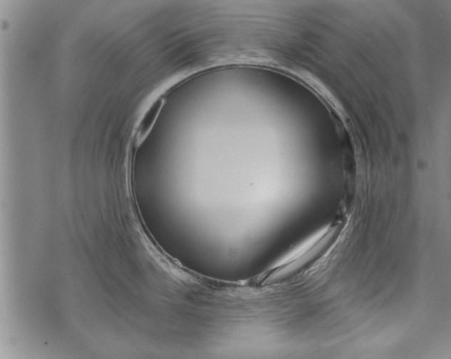 X0000073721246200608241224