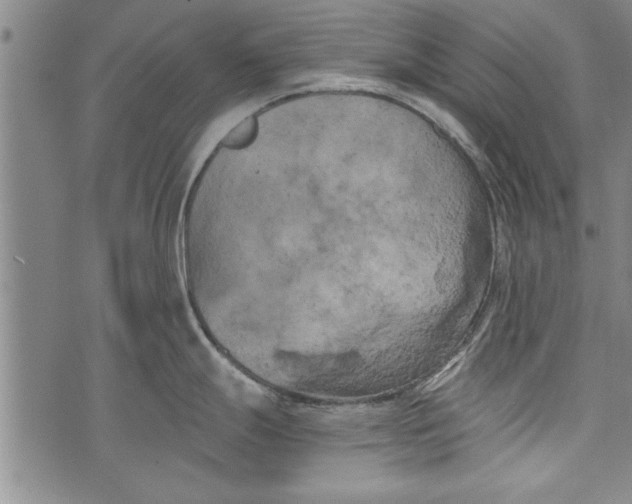 X0000073721247200608241224