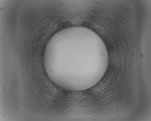 X0000073721249200608241223