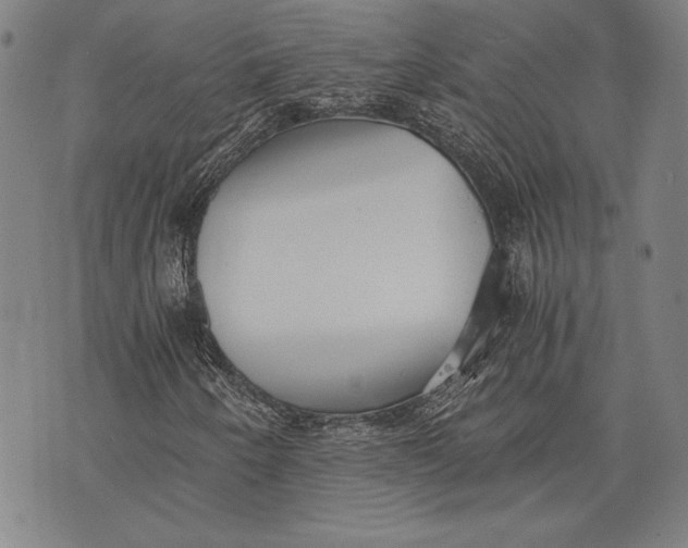 X0000073721250200608241223