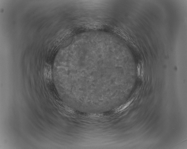 X0000073721251200608241223