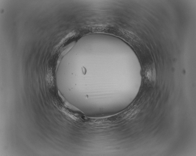 X0000073721252200608241223