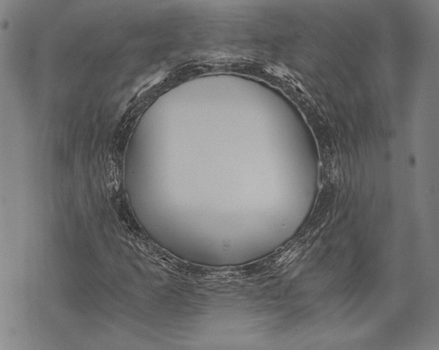 X0000073721253200608241223