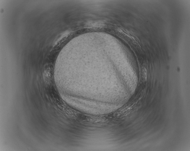 X0000073721254200608241223