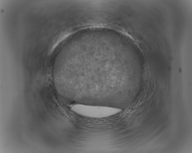 X0000073721255200608241223