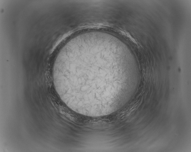 X0000073721256200608241223