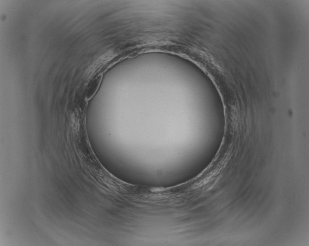 X0000073721257200608241223