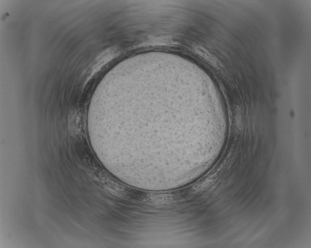 X0000073721258200608241223