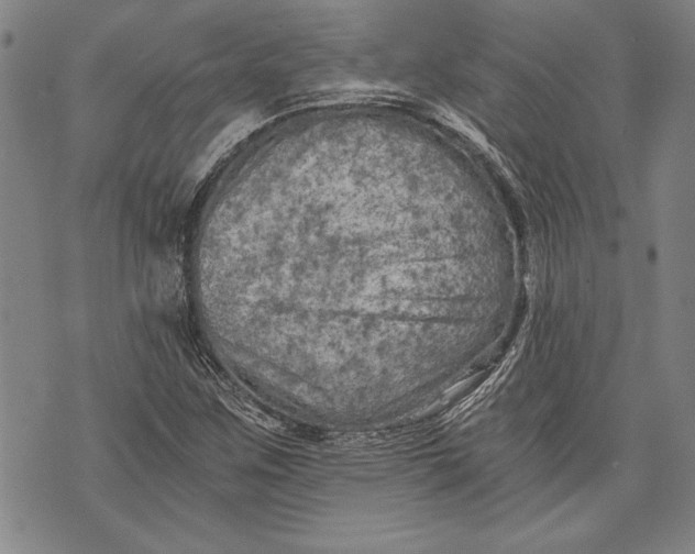 X0000073721259200608241223