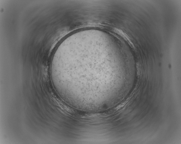 X0000073721260200608241223