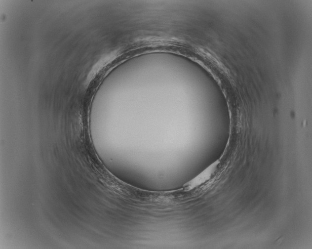 X0000073721261200608241223